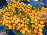 The Joys of being Seasonal in Turkey: loquats/malta eriği and green plums/yeşil eriği