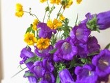 Do you know the name of these Campanula flowers, and Vegan chocolate pudding with strawberries and edible flowers