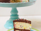 Confetti cake with chocolate sour cream frosting