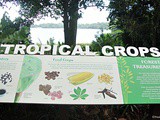 Tropical Crops in Singapore Zoo