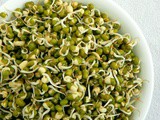 Homemade Mung Bean Sprouts / How to make sprouts at home