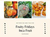 Fruity Friday… The Inca Berry (Cape Gooseberry)