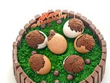 Kitkat Cake with Egg shell Brownies and Happy Birthday to Scratching Canvas