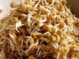 Fenugreek seed sprouts / methi sprouts