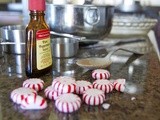 Day 273 - Day 2 of the 12 Days of Cookies - Chocolate Peppermint Shortbread