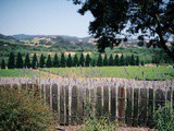 A trip to healdsburg