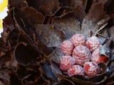 Chocolate raspberry cake