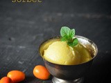 Kumquat ginger sorbet