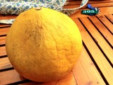 Chinese Grapefruit – Surprisingly Sweet