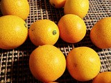 Kumquats – Olive-sized Oranges
