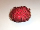 Rambutan – Fruit With a Bad Hair Day