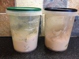 The Diary of a Sourdough Starter