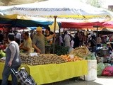 50 Shades of Green at Selçuk Saturday Market