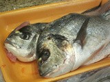 Baked Fish with Garlic and Butter/Fırında Sarımsaklı ve Tereyağlı Balık