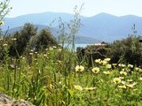 Lunch in Heraclea, today's Kapıkırı, by Lake Bafa