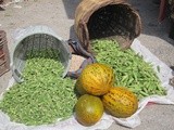 Okra with Chicken/Tavuklu Bamya