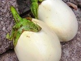 Roasted White Eggplant/Beyaz Patlıcan, Sliced, Stuffed with Cheese, Tomato & Fresh Herbs