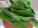 Swiss Chard with tahini, yogurt & buttered pine nuts