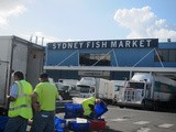 We Visit Sydney Fish Market