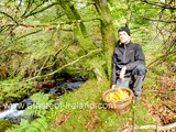 A Taste of Ireland: Wild Mushroom hunting in Ireland with Ballyhoura Mountain Mushroom’s, expert forager Mark Cribbin