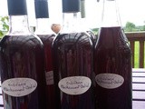 Blackcurrant Cordial