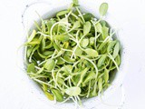 How to Grow Sunflower Sprouts