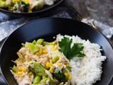 Slow Cooker Broccoli and Chicken