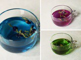 Butterfly Pea Flower Tisane | Shankhapushpi Herbal Tea