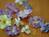 Eetbare bloemen -viooltjes en primula's- konfijten