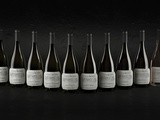 Cantina San Michele Appiano presenta fallwind
