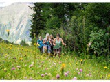 Estate in Val Ridanna: emozioni genuine tra sentieri, malghe e sapori di montagna