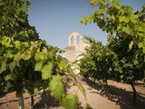 Il Primitivo di Manduria salpa con le barche di Barcolana