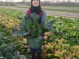 L'orto “agroecologico”