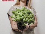Le erbe aromatiche della Cooperativa Sociale 'Il Bettolino'