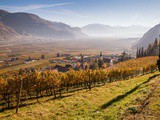 Quattro vini bianchi scelti dalla cantina Nals Margreid