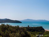 Escursione nel Parco della Maremma