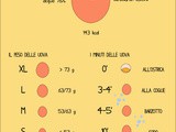 Le uova: un’infografica per conoscerle meglio