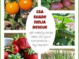 Csa Share Ninja Rescue: 2014