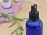 Homemade natural bug spray