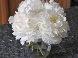 (Nearly) Wordless Wednesday: Peonies