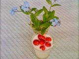 Alpine strawberries and Forget me not