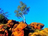 Central Australia