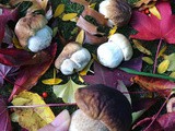 Christchurch in Autumn, and foraging fungi