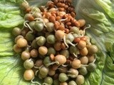 Crunchy Bean Sprout Winter Mediterranean Salad