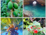 First images from Niue