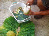 First recipe from Niue: Breadfruit Chips