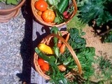 Gardening for food at home, and New Brighton Community Gardens
