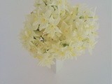 Jonquils
