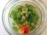 Nasturtium buds in vinegar