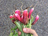 No waste post: Japanese style pickled radishes - and eat the leaves too